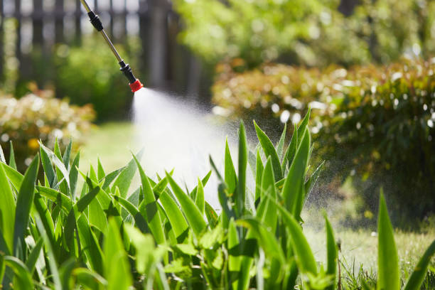 Tamper-Resistant Bait Stations for Rodents in Casselberry