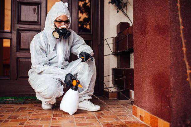 Attic and Crawl Space Rodent Treatment in Casselberry
